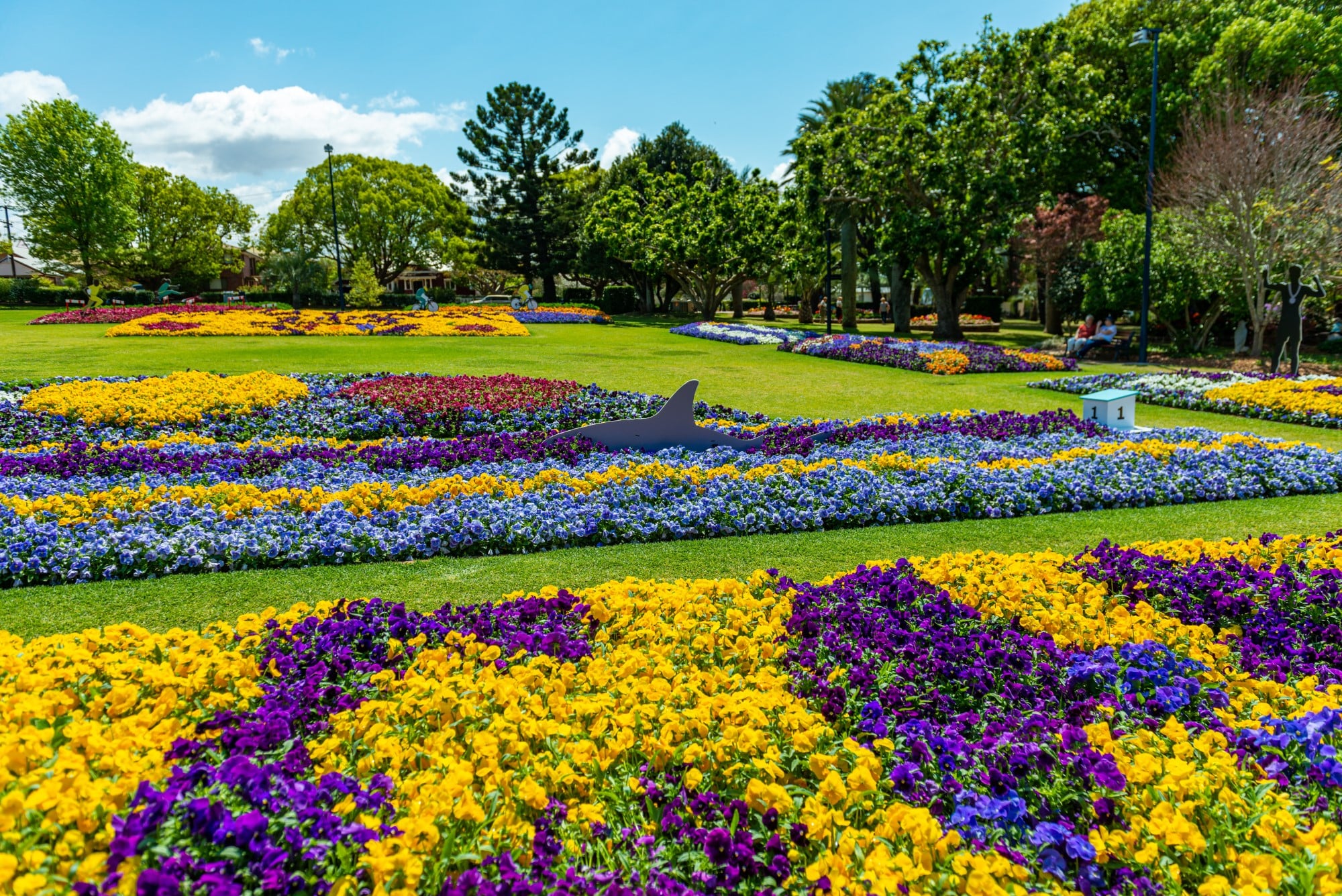 Embrace Nature's Splendour The Toowoomba Flower Festival