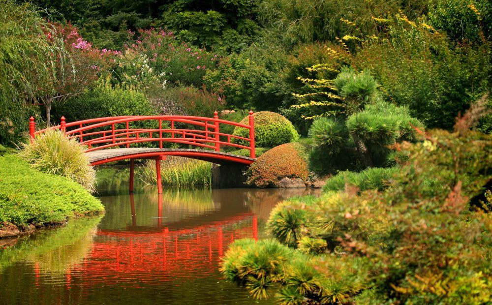 toowoomba-japanese-gardens